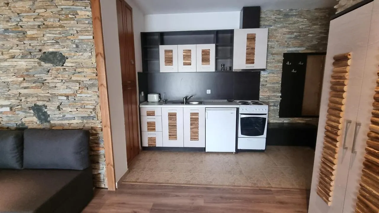 شقة Pirin Studios بانسكو